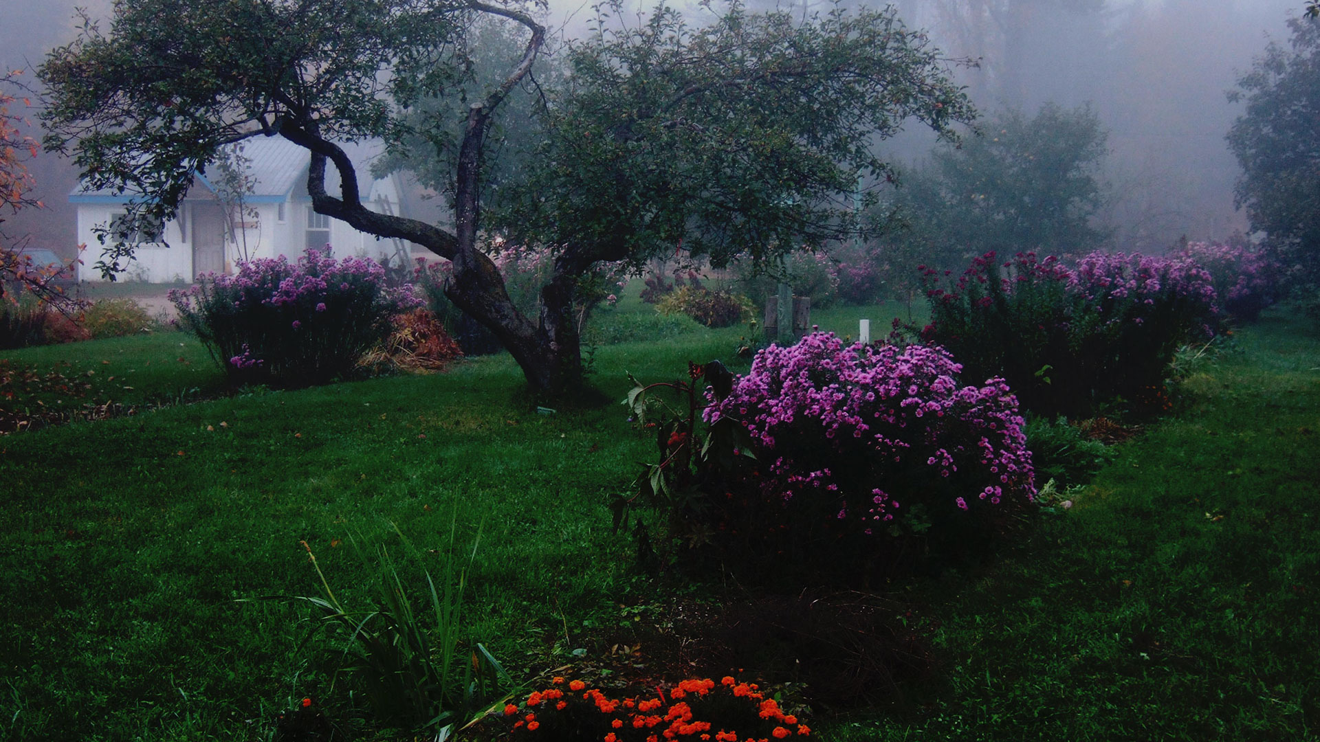 Welcome To The Madonna House Tour