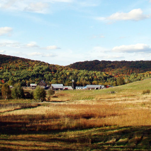 St. Benedict's Acres in the Fall
