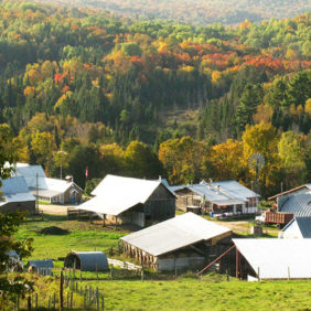 farm1