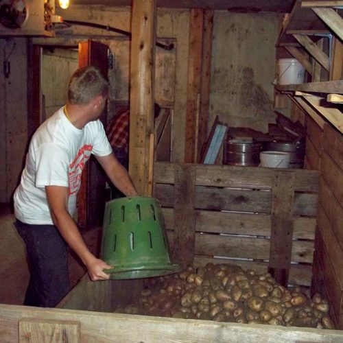 rootcellar